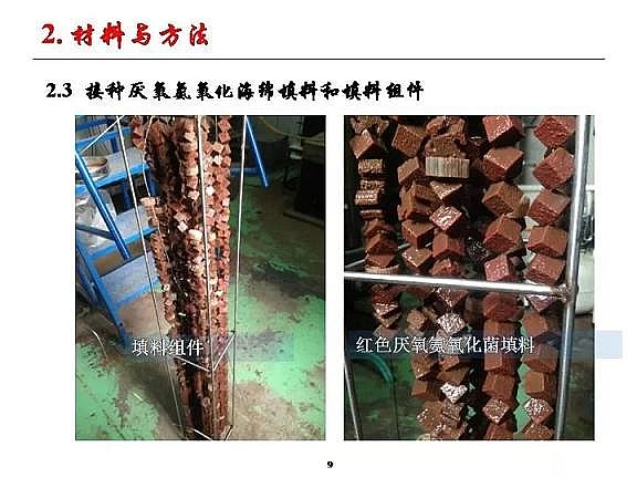 優(yōu)質(zhì)纖維束填料生產(chǎn)廠家城市污水厭氧氨氧化脫氮研究