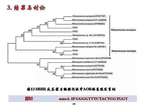 優(yōu)質(zhì)纖維束填料生產(chǎn)廠家城市污水厭氧氨氧化脫氮研究