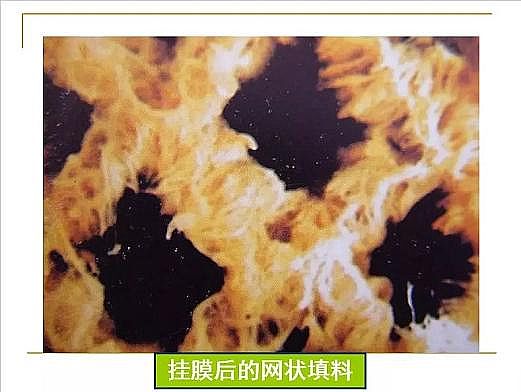 ˮ̎VϏSҟoúVȫĤPPTv⣺ԭ̡OӋӋ