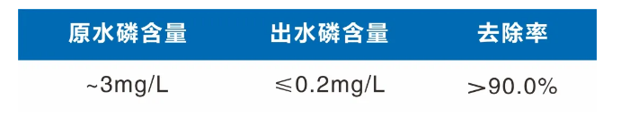 仁源水處理材料固體除磷劑生產廠家中含磷廢水資源化治理