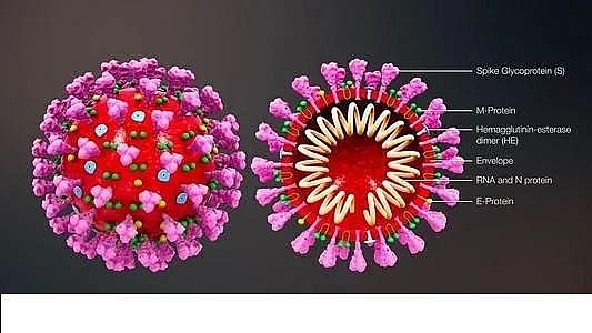 ú|(zh)w̿0.5-1mmSҰĴоˆT_l(f)zyˮCovid-19ϵy(tng)
