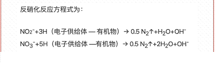 仁源水處理材料氨氮去除劑生產(chǎn)廠家生物脫氮你了解多少?