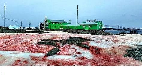 水處理填料立體彈性填料生產廠家世界水日”特輯水與氣候變化