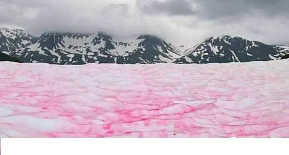 水處理填料立體彈性填料生產廠家世界水日”特輯水與氣候變化