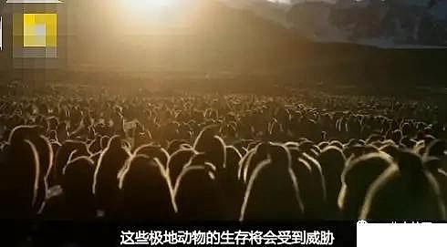 水處理填料立體彈性填料生產廠家世界水日”特輯水與氣候變化