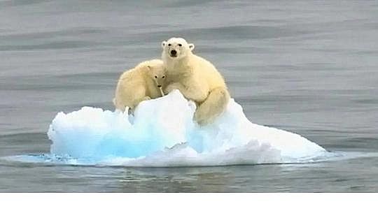 水處理填料立體彈性填料生產廠家世界水日”特輯水與氣候變化