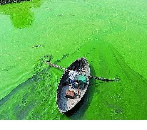 水處理填料立體彈性填料生產廠家世界水日”特輯水與氣候變化