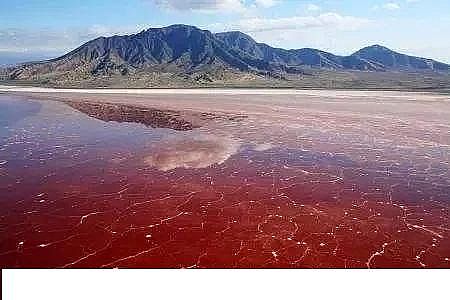 水處理填料立體彈性填料生產廠家世界水日”特輯水與氣候變化