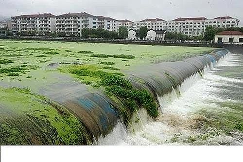 水處理填料立體彈性填料生產廠家世界水日”特輯水與氣候變化