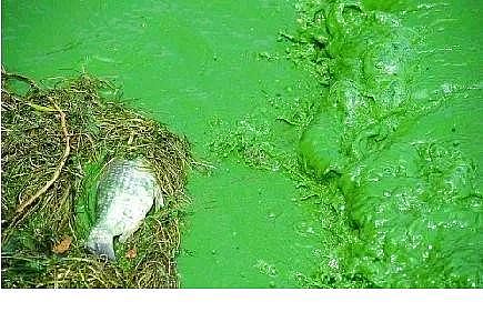 水處理填料立體彈性填料生產廠家世界水日”特輯水與氣候變化