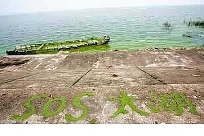 水處理填料立體彈性填料生產廠家世界水日”特輯水與氣候變化