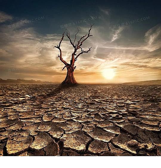 水處理填料立體彈性填料生產廠家世界水日”特輯水與氣候變化