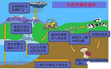 高效固體除磷劑生產廠家污水里的小時代——磷