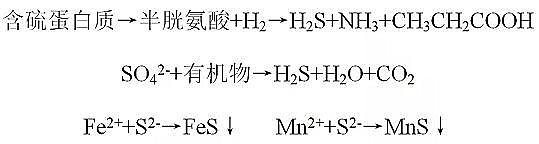 仁源水處理藥劑結晶氯化鋁生產廠家城市黑臭水體:污染現狀、成因、評價方法、治理技術與對策