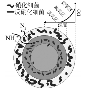 水處理藥劑培菌葡萄糖廠家污水生物處理中的好氧顆粒污泥技術(shù)