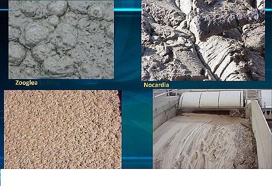 Դˮ̎ˎǏSˮSĭĿƵ̽ӑ