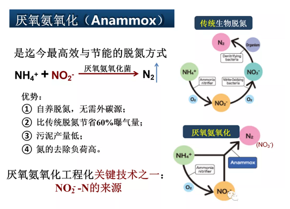 2020wׄSˮÓоM(jn)չ