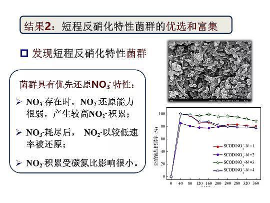 2020wׄSˮÓоM(jn)չ
