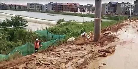 高效立體網(wǎng)狀填料生產(chǎn)廠家鄱陽(yáng)湖流域告急!全國(guó)433條河流發(fā)生超警洪水