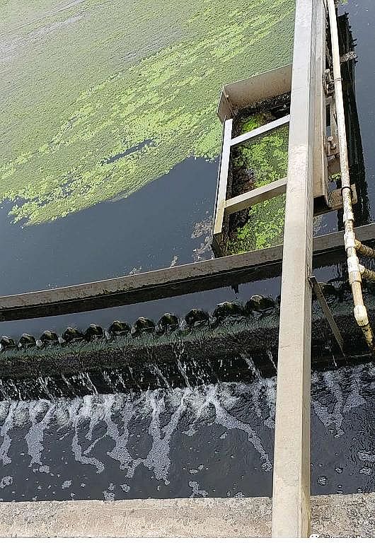 ĭVVEPS1-2mmaSMBRﷴ\й