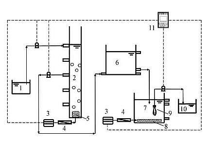 Ҏ۠̿aSҺw+Ĥﷴ̎ˮγɡȾȥЧ
