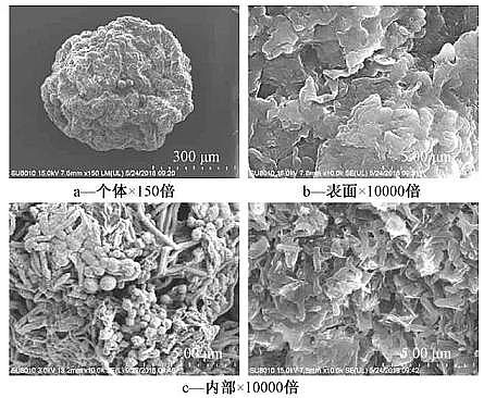 Ҏ۠̿aSҺw+Ĥﷴ̎ˮγȾȥЧ