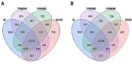 環保排水帽生產廠家肥料驅動正滲透處理頁巖氣開采廢水并用于灌溉