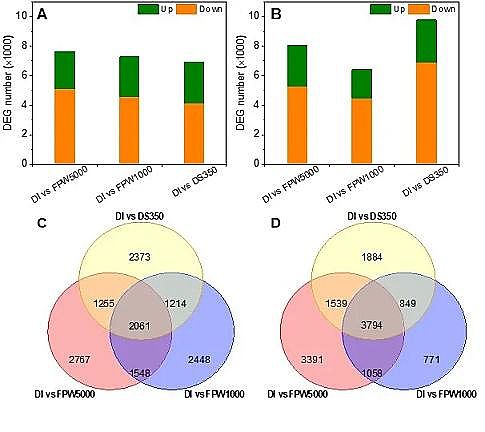 環保排水帽生產廠家肥料驅動正滲透處理頁巖氣開采廢水并用于灌溉