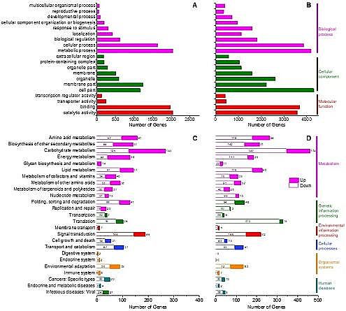 環保排水帽生產廠家肥料驅動正滲透處理頁巖氣開采廢水并用于灌溉
