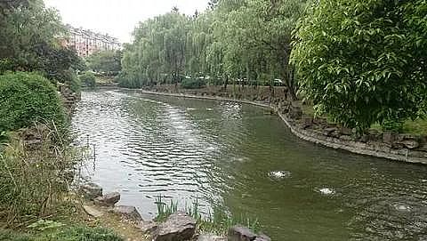 環保曝氣器廠家城市黑臭污染河道底泥該怎么治理?