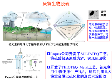 高規格麥飯石濾料廠家厭氧處理技術:困境和出路