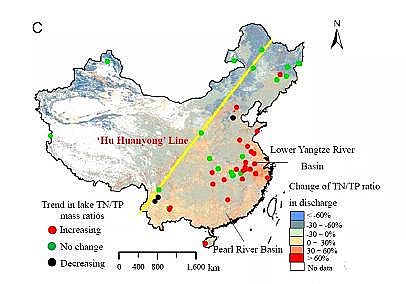 煤質顆粒活性炭4-6mm生產廠家我國46個主要湖泊調查:湖泊中氮磷元素計量平衡與人為活動干擾影響的研究