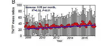 煤質顆粒活性炭4-6mm生產廠家我國46個主要湖泊調查:湖泊中氮磷元素計量平衡與人為活動干擾影響的研究