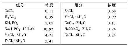 新型不銹鋼纖維束掛鉤廠家SBR工藝污水生物脫氮過程中N2O的釋放特征、主要途徑、機理