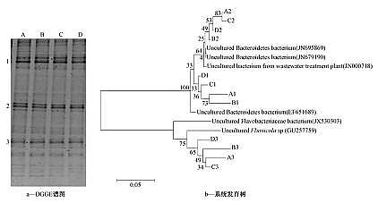 新型不銹鋼纖維束掛鉤廠家SBR工藝污水生物脫氮過程中N2O的釋放特征、主要途徑、機理