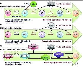 hF̼΢늽ϏSӶ̷̳-Ҏо