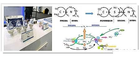 2021年水處理藥劑復合碳源生產廠家污水脫氮進入“0”碳源綠色節能新時代:基于無機礦物材料自養/異養協同硝酸鹽去除技術取得突破