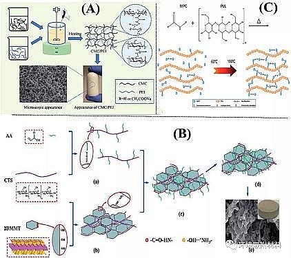 高品相粉狀活性炭生產(chǎn)廠家功能性生物水凝膠在環(huán)境污染物去除中的應(yīng)用