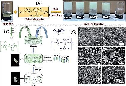高品相粉狀活性炭生產(chǎn)廠家功能性生物水凝膠在環(huán)境污染物去除中的應(yīng)用