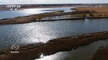 ͺҚVϏSҎͶ20|Ԫˮ|V!ˆ}?