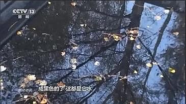 ͺҚVϏSҎͶ20|Ԫˮ|V!ˆ}?