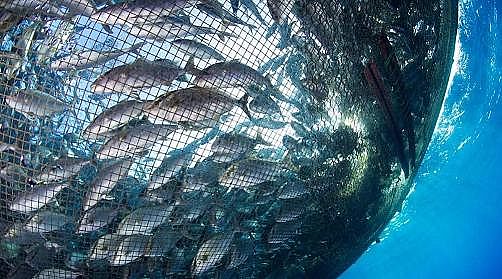 ¿AʽȻXSPˮaBֳIUˮ̎