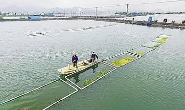 ¿AʽȻXSPˮaBֳIUˮ̎