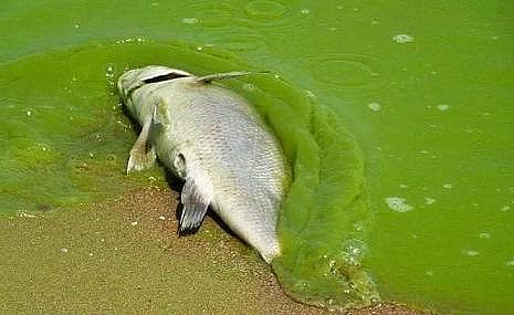 ¿AʽȻXSPˮaBֳIUˮ̎