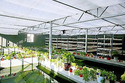 ʽҸϏSСӵˮl]ˡЧ!