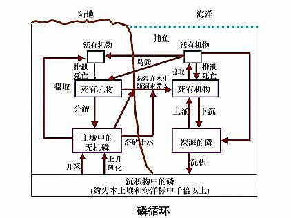 Ʒ|(zh)ʯVa(chn)SˮYԴĎׂԔ⣺׻աˮԴáˮ