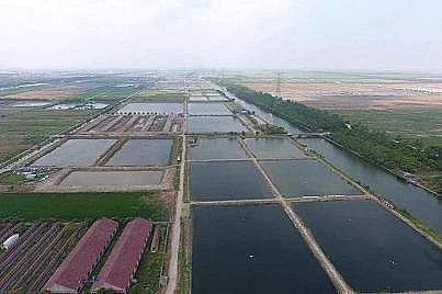 新式立體彈性填料廠家生態套養,尾水治理,預警防病…余姚探索水產養殖綠色健康之路