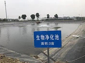 新式立體彈性填料廠家生態套養,尾水治理,預警防病…余姚探索水產養殖綠色健康之路