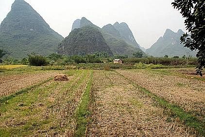 wS?yn)V25mmSr(nng)ˮh(hun)C