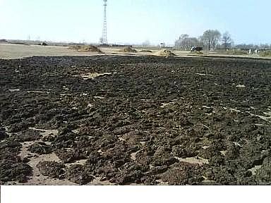 高規格麥飯石濾料生產廠家水產養殖業“欲速則不達”!調水快、培藻快、培菌快、蛋白高,最后“死得快”!